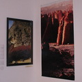 Primal Art: Paintings on Rocks, Paintings on Bodies